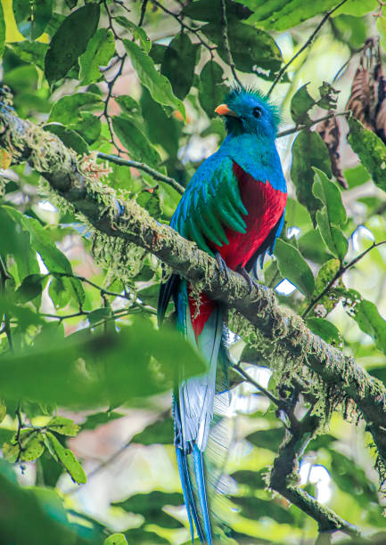 Interesting facts about Costa Rica